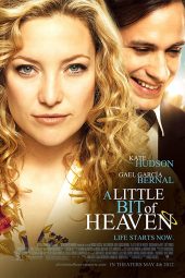 A Little Bit of Heaven (2011)