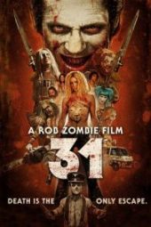 31 (2016)