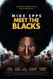 Meet the Blacks (2016)