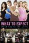 What to Expect When You're Expecting (2012)